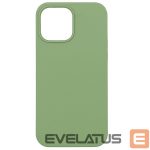 Tagakaaned Evelatus Apple iPhone 12 Pro Max Premium Soft Touch Silicone Case Mint