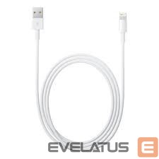 Kaabel Apple  MD819 - iPhone Cable 7/8/X (2m)
