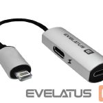 Üleminek Evelatus  Lightning to Lightning-x2 V02 bulk package