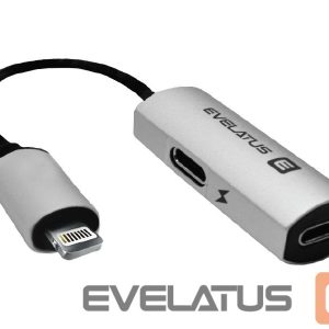 Üleminek Evelatus  Lightning to Lightning-x2 V02 bulk package
