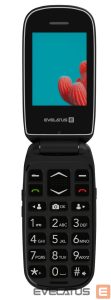 Mobiiltelefon Evelatus  WAVE 2020 DS (EW02BK) Graphite Black