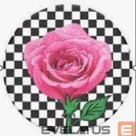 Universaalne telefonihoidja (Popsocket) Popsockets  PT-SK8R GRL-BK 