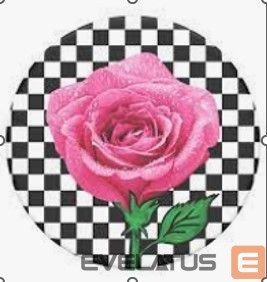 Universaalne telefonihoidja (Popsocket) Popsockets  PT-SK8R GRL-BK 