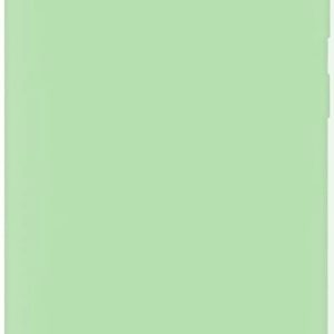 Tagakaaned Evelatus Samsung Galaxy S10 Nano Silicone Case Soft Touch TPU Mint