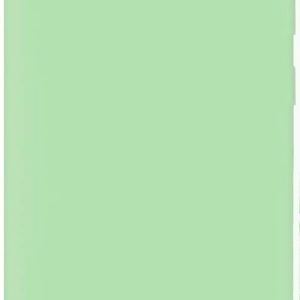 Tagakaaned Evelatus Samsung Galaxy S10+ Nano Silicone Case Soft Touch TPU Mint