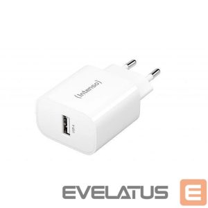 Adaptrid Intenso  POWER ADAPTER USB-A/7800512 