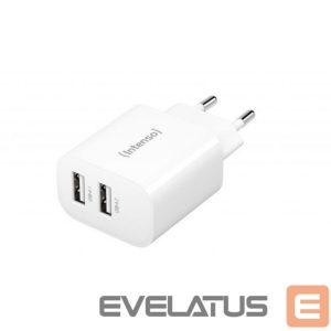 Adaptrid Intenso  POWER ADAPTER 2x USB-A/7802412 