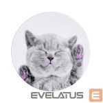 Universaalne telefonihoidja (Popsocket) iLike  Universal Pop Holder Cat