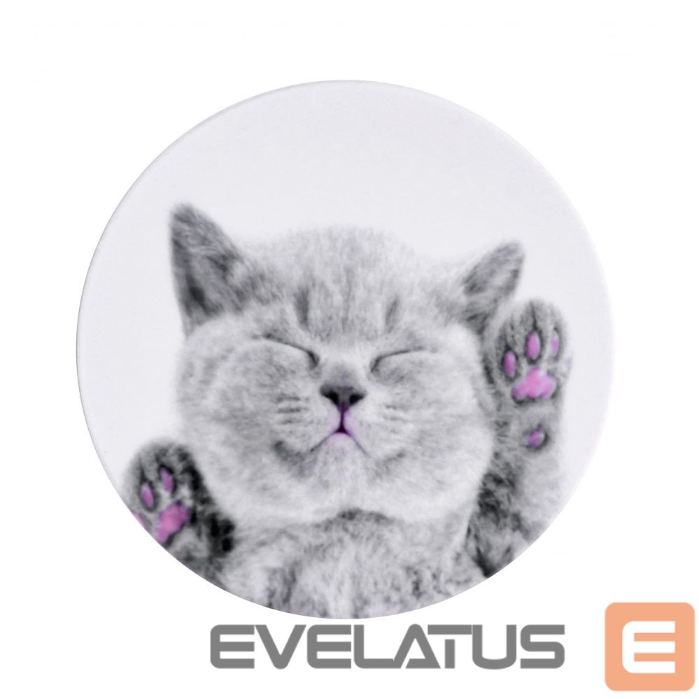Universaalne telefonihoidja (Popsocket) iLike Universal Pop Holder Cat