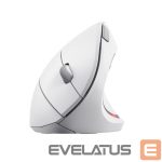 Arvutihiir Trust  MOUSE USB OPTICAL WRL VERTO/ERGONOMIC WHITE 25132 