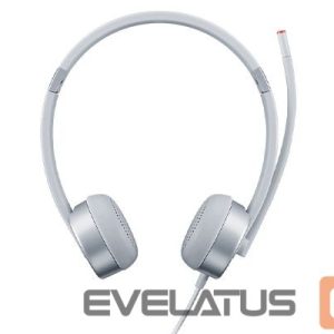 AMD protsessori emaplaat Lenovo  Headset 100 Stereo Analogue Silver 