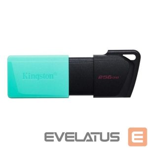 Mälupulk Kingston  USB Flash Drive DataTraveler Exodia 256 GB, USB 3.2 Gen 1, Black/Teal 