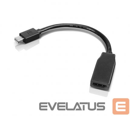 Üleminek Lenovo mini-DisplayPort to HDMI Black, Adapter