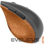 Arvutihiir Lenovo  Go Wireless Vertical Mouse Wireless optical, Storm grey with natural cork, USB-A, 1 x AA batteries (included) 