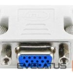 Kontoritarbed Gembird  adapter DVI-A/VGA (24M/15F)