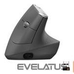 Arvutihiir Logitech  LOGI MX Vertical AdvancedErgonomic Mouse 