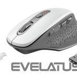Arvutihiir Trust  MOUSE USB OPTICAL WRL/OZAA WHITE 24035 