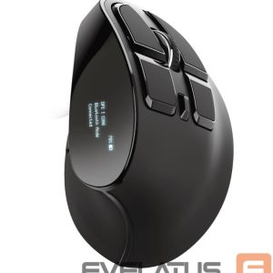 Arvutihiir Trust  MOUSE USB OPTICAL ERGONOMIC/VOXX 23731 