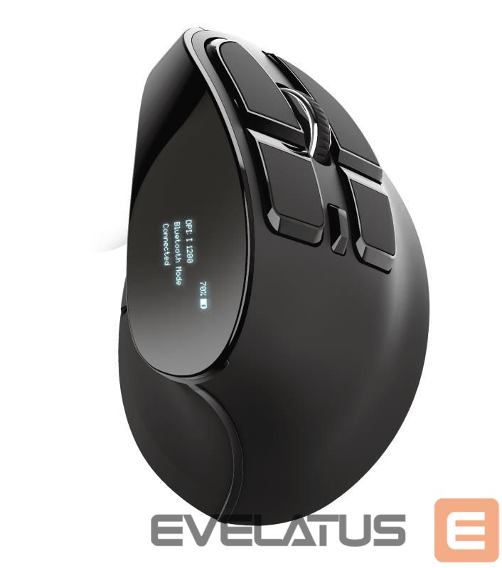 Arvutihiir Trust MOUSE USB OPTICAL ERGONOMIC/VOXX 23731