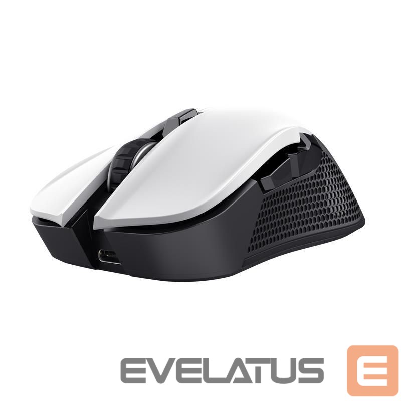 Arvutihiir Trust MOUSE USB OPTICAL WRL YBAR/GTX923W 24889