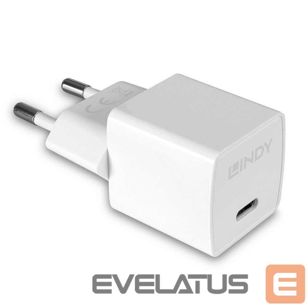 Laadijad ja juhtmed LINDY CHARGER WALL 20W/73410