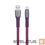 Kaabel RIVACASE  CABLE USB-C TO USB2 1.2M/RED PS6102 RD12 