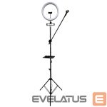 Rõngahoidja iLike  S12 LED Selfie 31cm Ring Light Lamp + Tripod Stand 2.1m + Shelf & 3x phone / Mic Holder Black