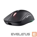 Arvutihiir Trust  MOUSE USB OPTICAL WRL GXT926/REDEX II 25126 