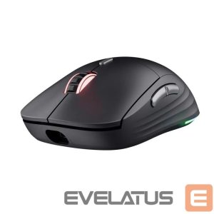 Arvutihiir Trust  MOUSE USB OPTICAL WRL GXT926/REDEX II 25126 