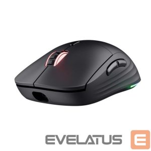 Arvutihiir Trust  MOUSE USB OPTICAL WRL GXT927/REDEX+ HIGH PERF 25127 