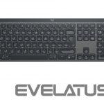 Arvutitarvikud Logitech  LOGI MX Keys For Bussines Graphite (US) 