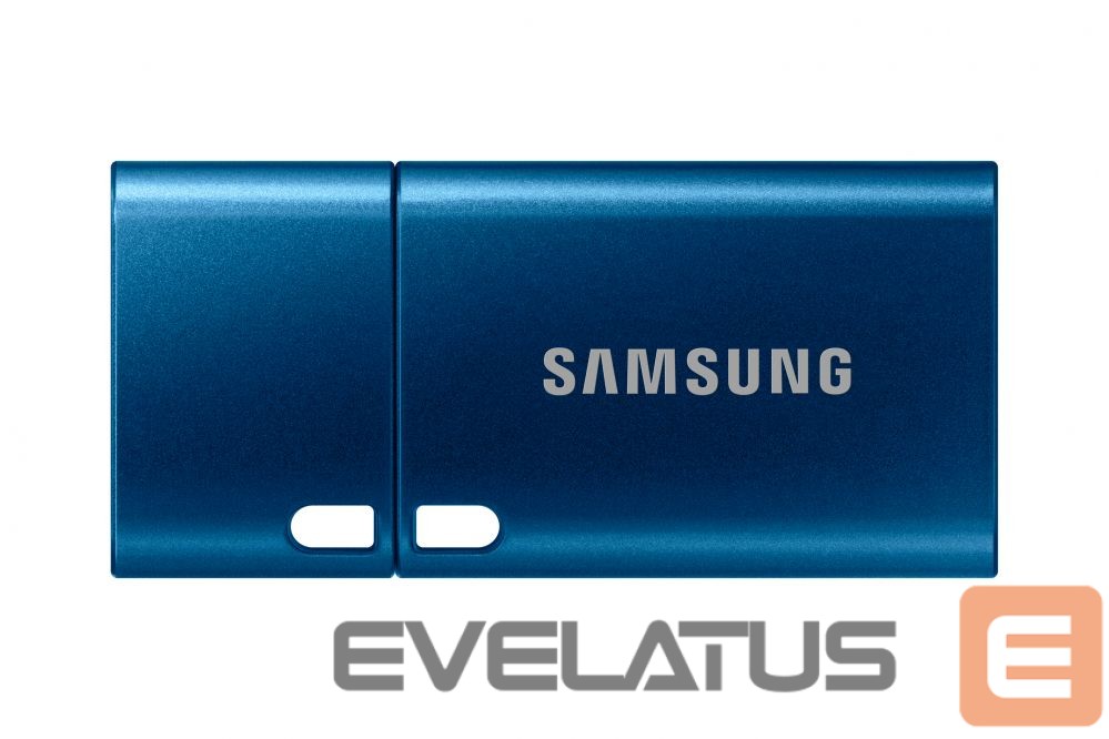 Mälupulk Samsung SAMSUNG USB Type-C 256GB USB 3.1 Flash