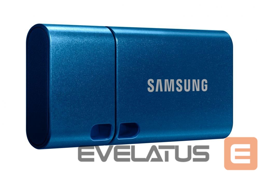Mälupulk Samsung SAMSUNG USB Type-C 256GB USB 3.1 Flash