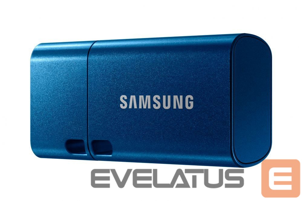 Mälupulk Samsung SAMSUNG USB Type-C 256GB USB 3.1 Flash
