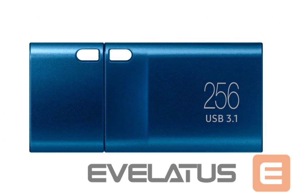 Mälupulk Samsung SAMSUNG USB Type-C 256GB USB 3.1 Flash