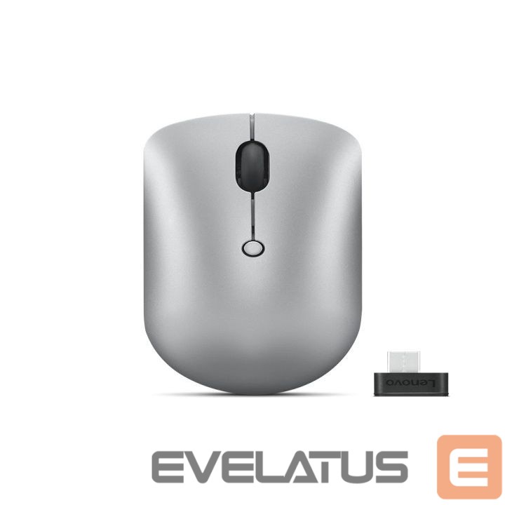 Arvutihiir Lenovo Wireless Compact Mouse 540 Cloud Grey, 2.4G Wireless via USB-C receiver