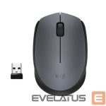 Arvutihiir Logitech  M170 Wireless Mouse, Black, Grey 