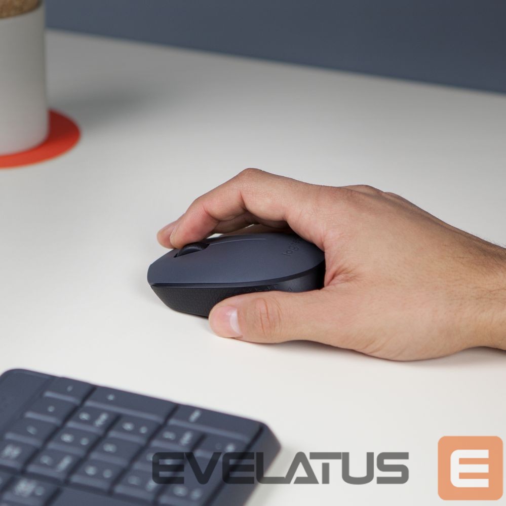 Arvutihiir Logitech M170 Wireless Mouse, Black, Grey