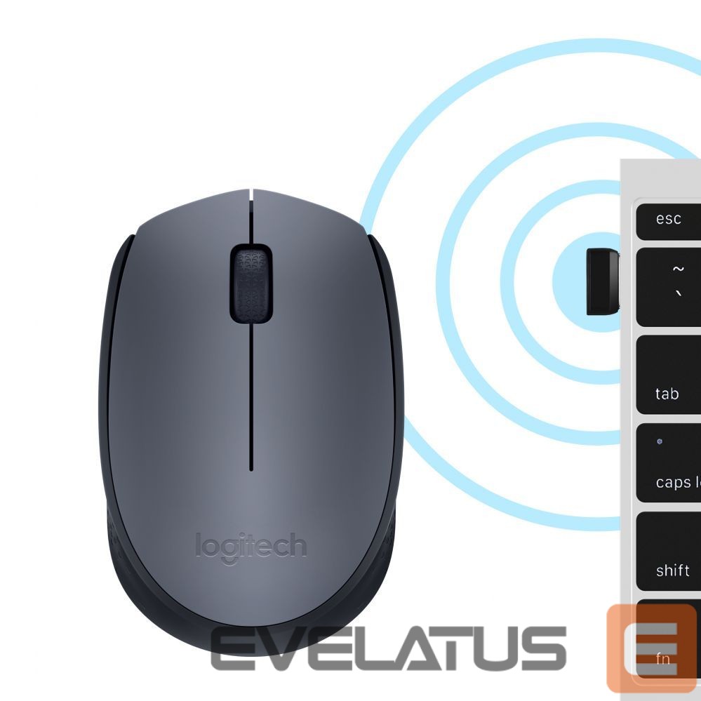Arvutihiir Logitech M170 Wireless Mouse, Black, Grey