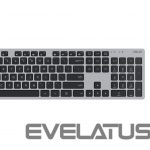 Arvuti klaviatuur Asus  W5000 KEYBOARD+MOUSE/GY/UI/90XB0430-BKM1S0/WIN11 