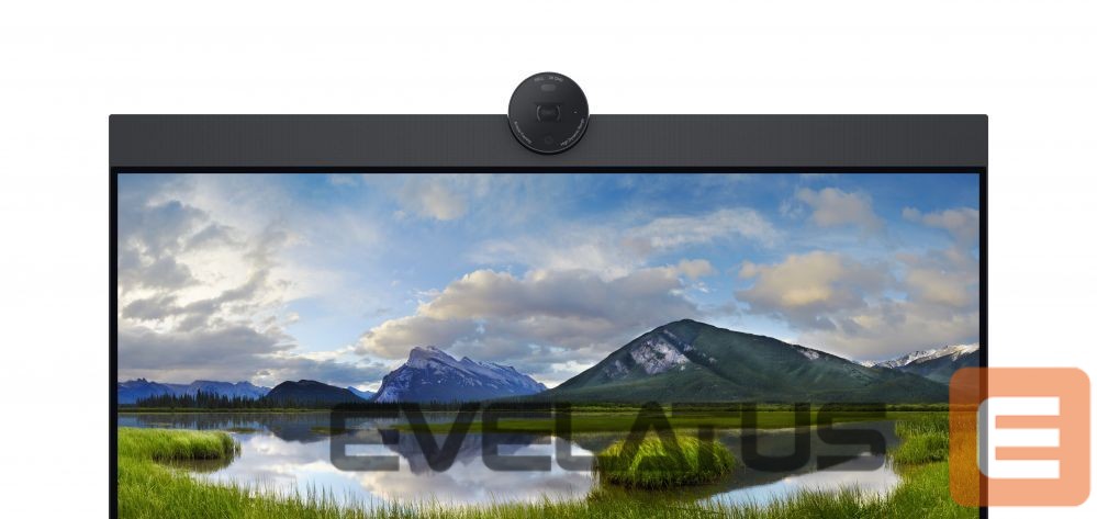 Monitorid Dell LCD P2424HEB 24" IPS FHD/1920x1080/DP,HDMI,USB-C,USB,RJ45/Black,silver