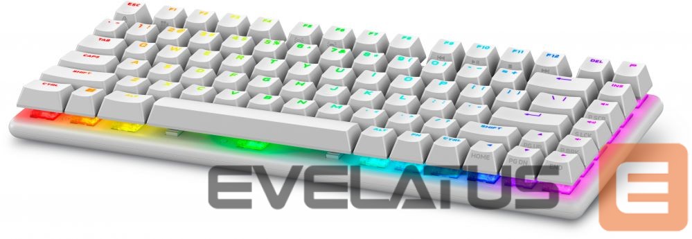 Arvuti klaviatuur Dell 545-BBFR Alienware Pro Gaming Keyboard Wireless US Alienware Linear Mechanical Lunar Light Bluetooth