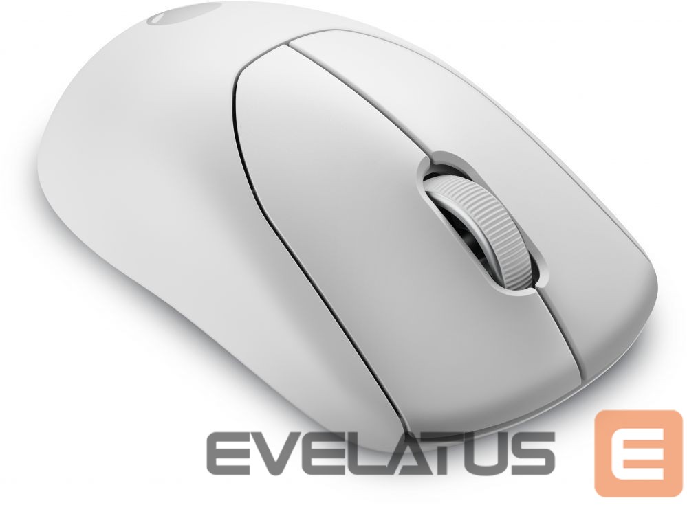 Arvutihiir Dell Alienware Pro | Wired/Wireless | Lunar Light