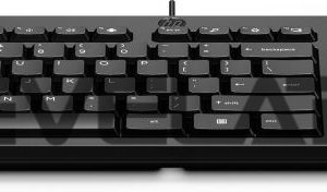 Arvutitarvikud HP  HP 125 USB WD KBD Bulk 12 
