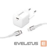 Laadijad ja juhtmed Intenso  POWER ADAPTER USB-C GAN +C315L/7803052 
