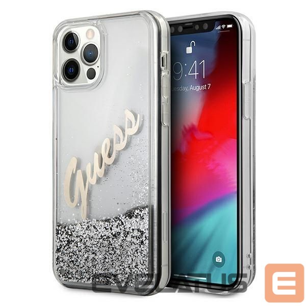 Tagakaaned Guess Silver