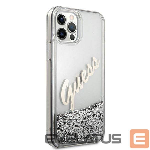 Tagakaaned Guess Silver