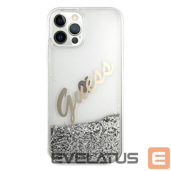 Tagakaaned Guess Silver