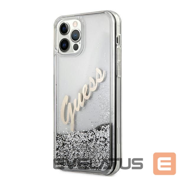 Tagakaaned Guess Silver