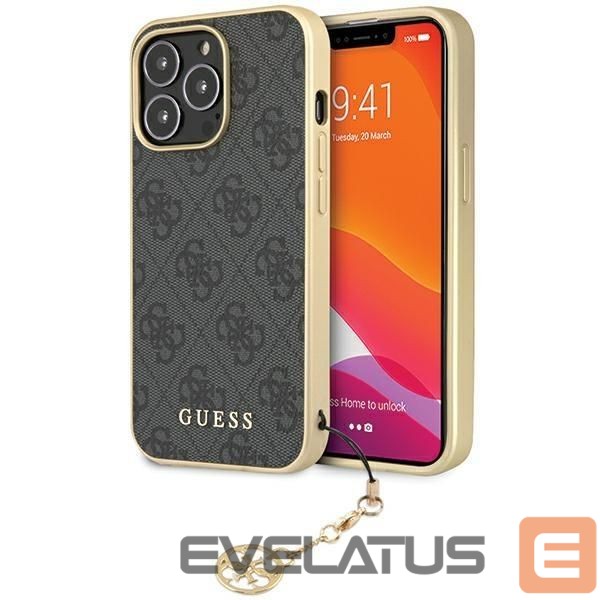 Tagakaaned Guess Gray